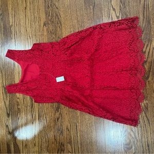 Loft Lace Dress. Size 12. New with Tags.